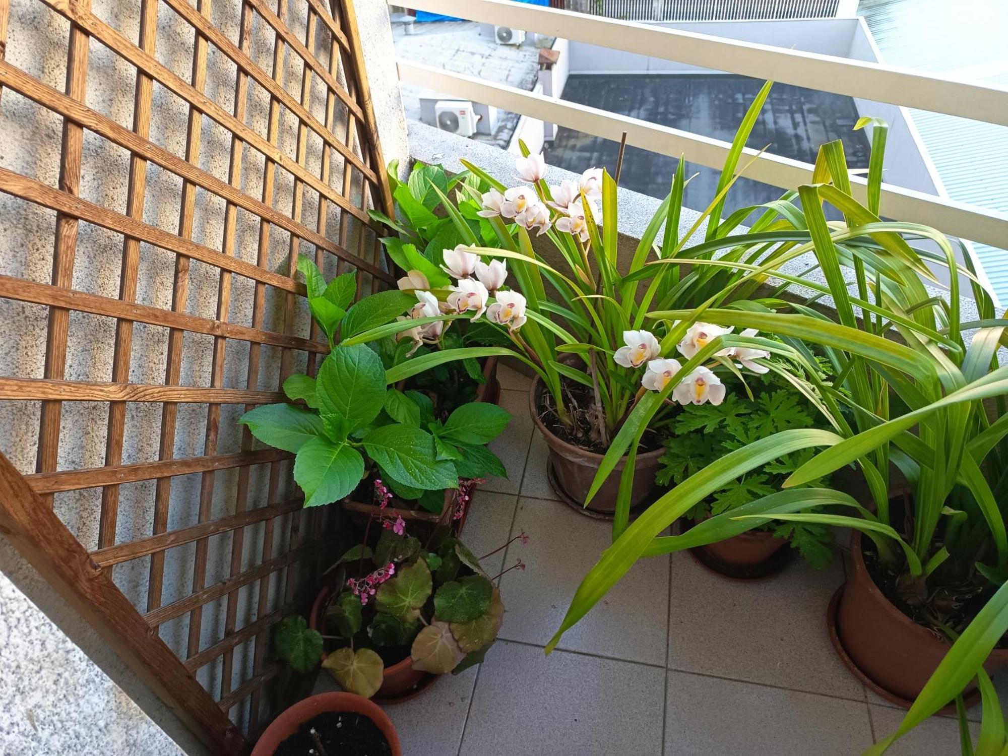 Vivienda Caseiro Ourense Luaran gambar